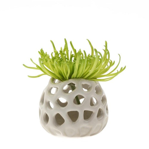 pottery air plant holder Planet Moon Air Plant Holder
