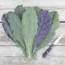 Kale: Dazzling Blue Seeds