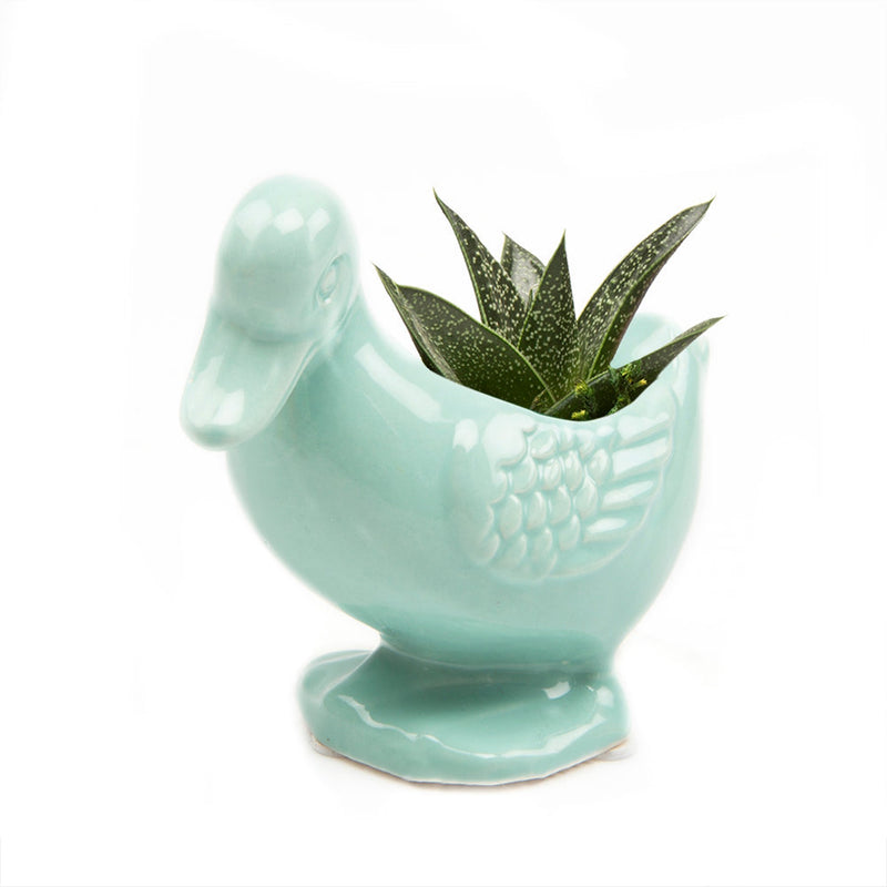 Lucy the Duck Planter - Seafoam