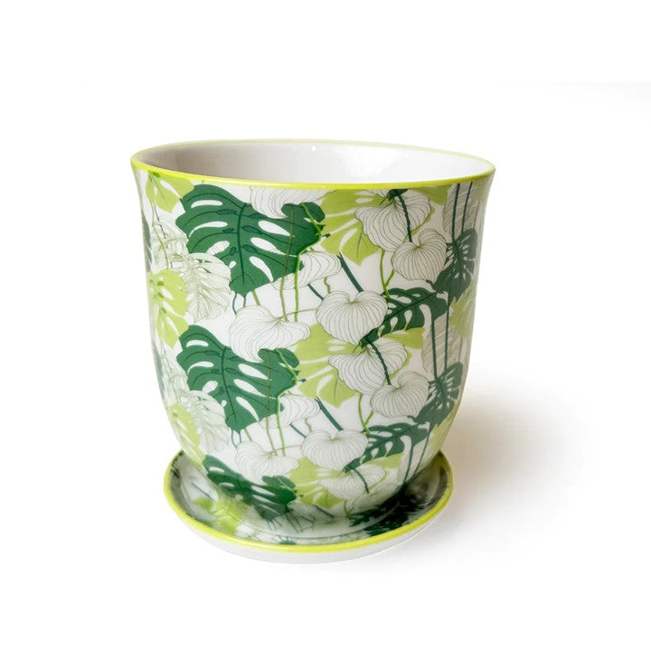 Big Liberte Pot with Saucer - Monstera - 4.25"