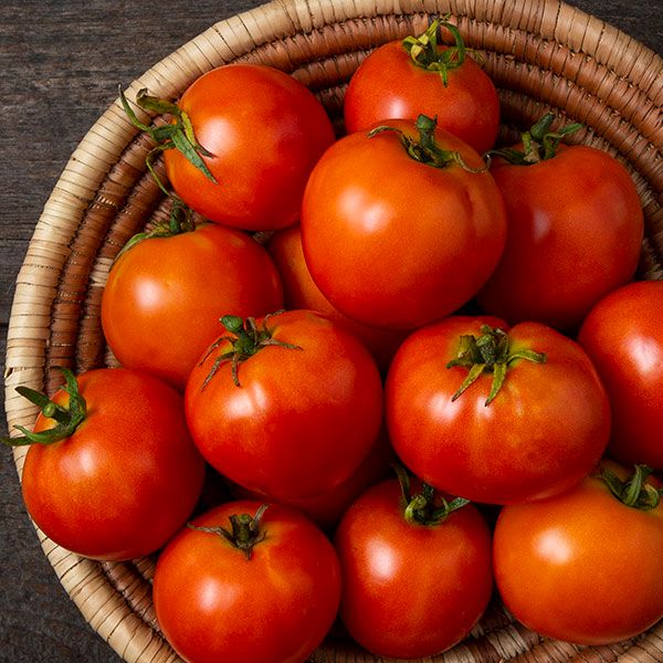 HM: Tomato: Mountain Princess Seeds