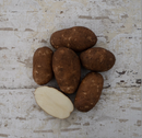 Seed Potato - Goldrush Russet - 1lb