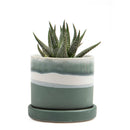 Small Minute Pot with Saucer - Matte Green - 3"