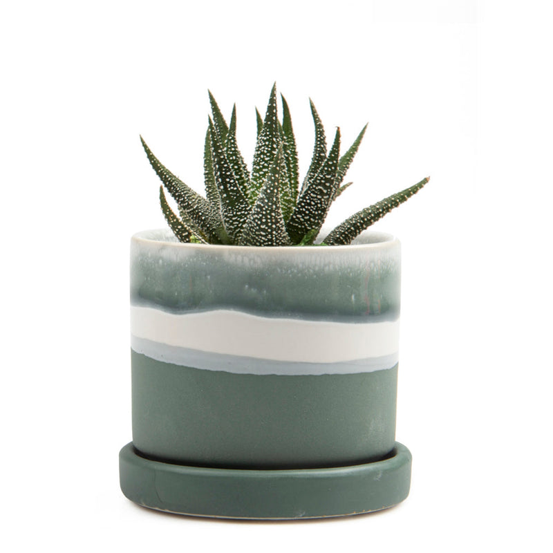 Small Minute Pot with Saucer - Matte Green - 3"