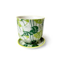 Liberte Pot with Saucer - Monstera - 3.25"