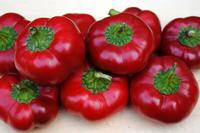 SESE: Pepper: Ashe County Pimento Seeds