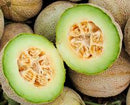 Eden Gem Rocky Ford Melon Seeds