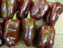 Sweet Chocolate Pepper Seeds