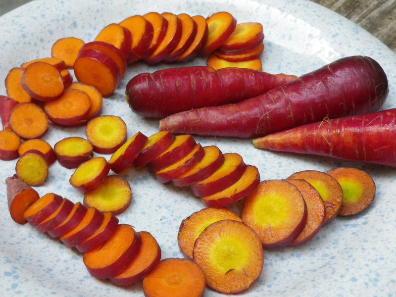 SESE: Carrot: Purple Dragon Seeds
