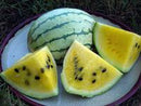 Early Moonbeam Watermelon Seeds
