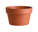 Deroma: Azalea Pot-Terra Cotta