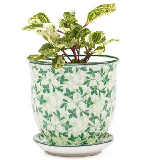 Liberte Pot with Saucer - Green Leaves - 3.25"