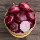 Onion: Red Geneva Cipollini Seeds