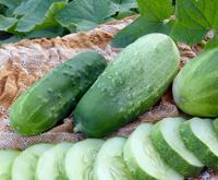 SESE: Cucumber: Homemade Pickles Seeds