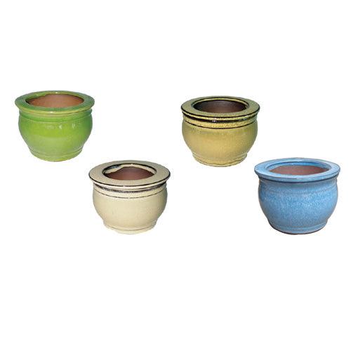 Self-Watering Pot Fish Bowl - Assorted - 6x4 in