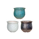 Limelight Self-Watering Pot - Assorted - 6x5"