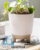 Reese Planter-Cream-5.5x6in