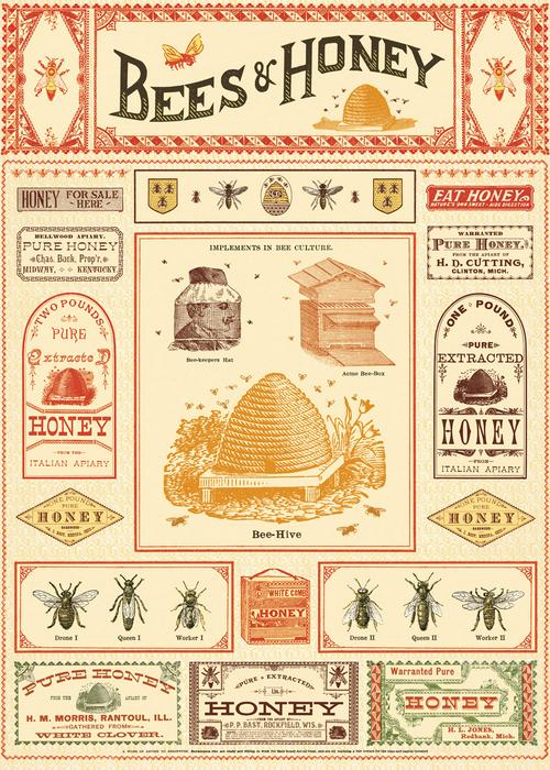 Cavallini Poster: Bees & Honey