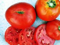 SESE: Tomato: Mountaineer Delight Seeds