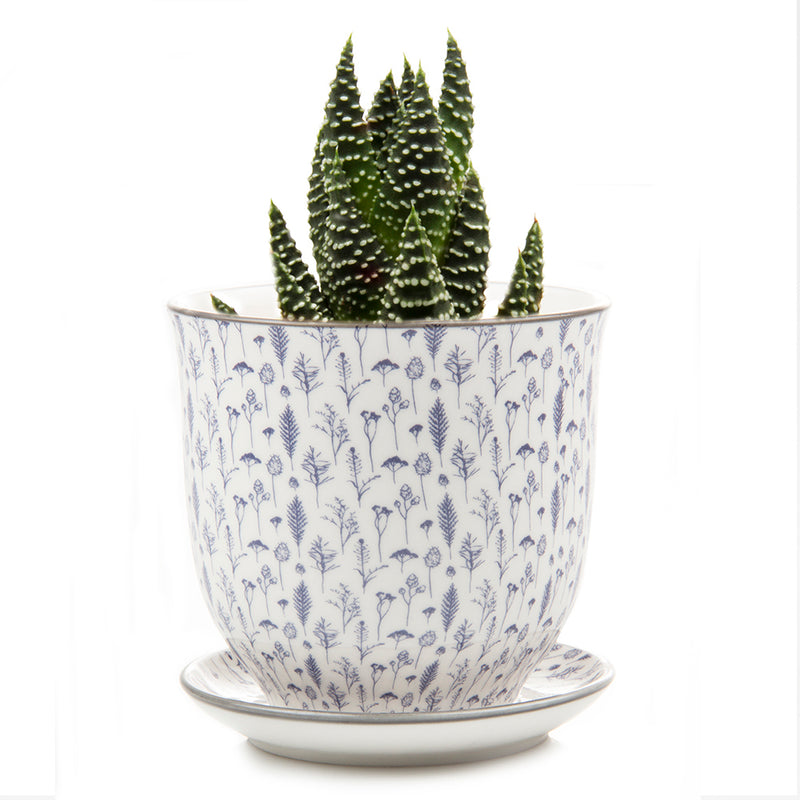 Big Liberte 4 Pot with Saucer-4.25 in-Blue Leaves