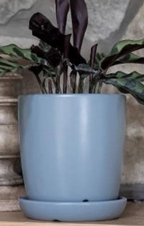 Bell Pot with Saucer-Matte Gray-4.75 in