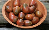 SESE: Tomato: Black Plum Seeds