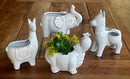 Animal Planter - Assorted