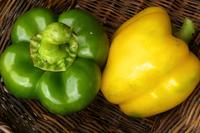 SESE: Pepper: Golden California Wonder Seeds