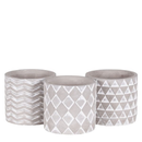 Embossed Cement Pot - Assorted - 6"