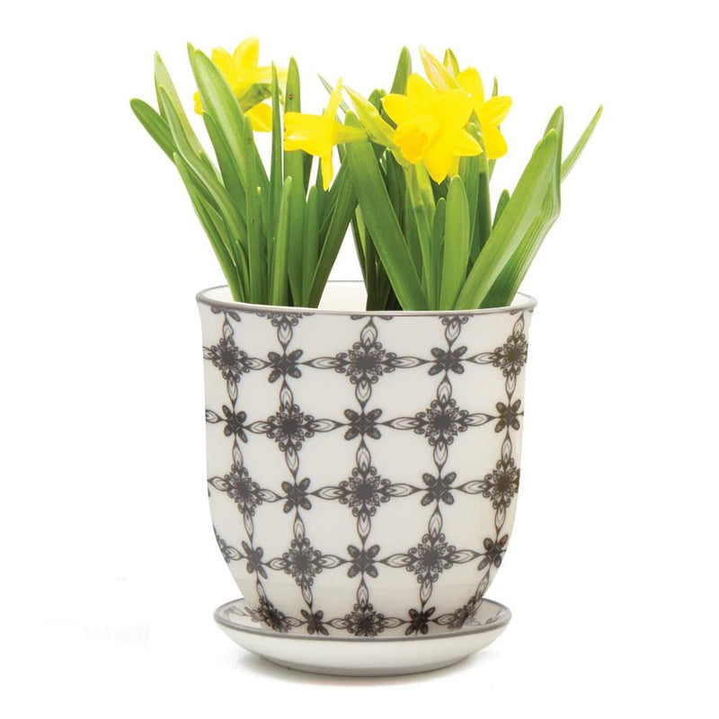 Liberte Pot with Saucer - Black Stars - 4.25"