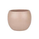 Phoenix Planter - Rose - 5"