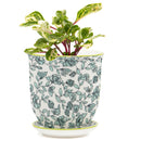 Big Liberte Pot with Saucer - Green Flowers - 4.25"