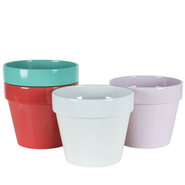 Round Sorrento Pot - Assorted - 6.75"