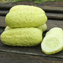 Cucumber: Double Yield Pickling Seeds