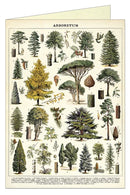 Cavallini: Arboretum Greeting Card