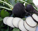 Radish: Black Spanish Round Seeds