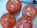 Tropic VFN Tomato Seeds