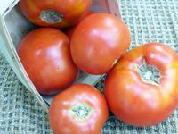 SESE: Tomato: Abraham Lincoln Seeds