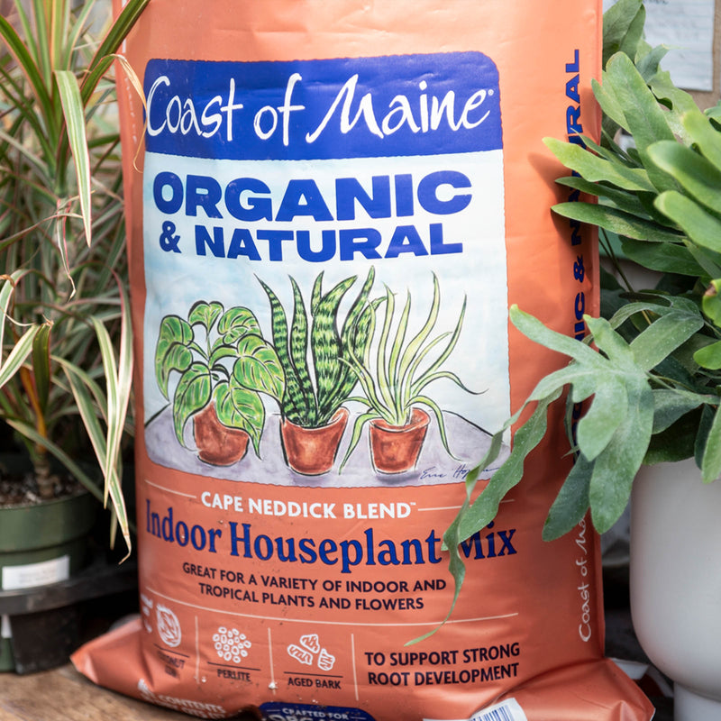 Coast of Maine Indoor Houseplant Mix - 8 quarts