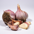 Garlic-Chesnok Red-Single Bulb