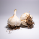 Garlic Single Bulb - Softneck