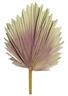 Fan Palm Frond-23in