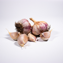 Garlic Single Bulb - Music