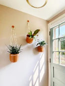 WallyGrow Loop Hanging Planter