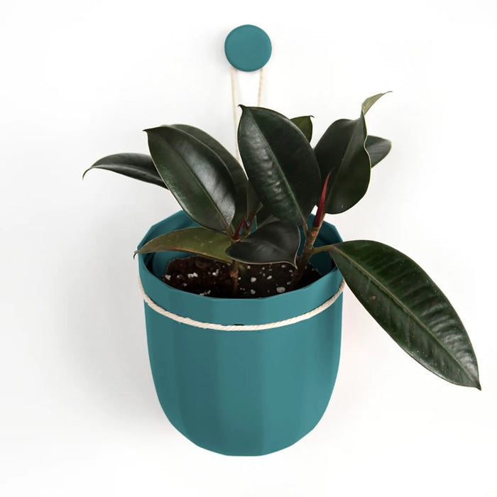 loop hanging planter WallyGrow Loop Hanging Planter