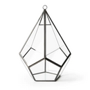 Glass Terrarium Teardrop