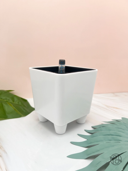 Plastic Self Watering Pot w/Indicator