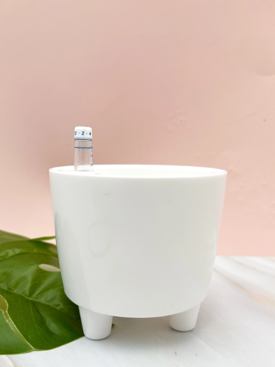 Plastic Self Watering Pot w/Indicator