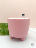 Plastic Self Watering Pot w/Indicator