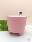 Plastic Self Watering Pot w/Indicator